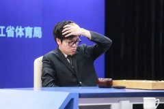 一面是前进一面是套——谈谈计较机人工智能（